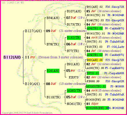 Pedigree of B112(AH) :
four generations presented