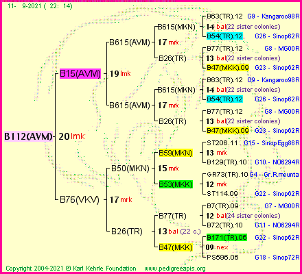 Pedigree of B112(AVM) :
four generations presented
it's temporarily unavailable, sorry!