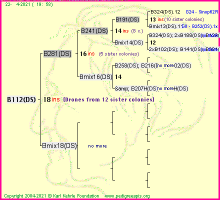 Pedigree of B112(DS) :
four generations presented
it's temporarily unavailable, sorry!