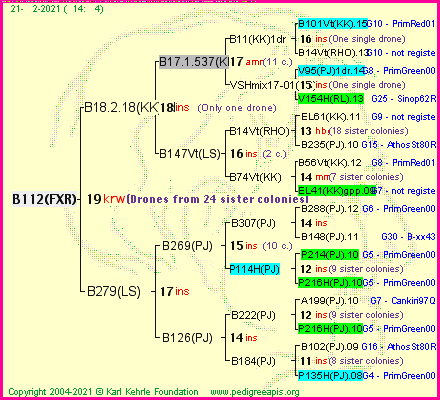 Pedigree of B112(FXR) :
four generations presented
it's temporarily unavailable, sorry!