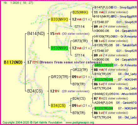 Pedigree of B112(ND) :
four generations presented<br />it's temporarily unavailable, sorry!