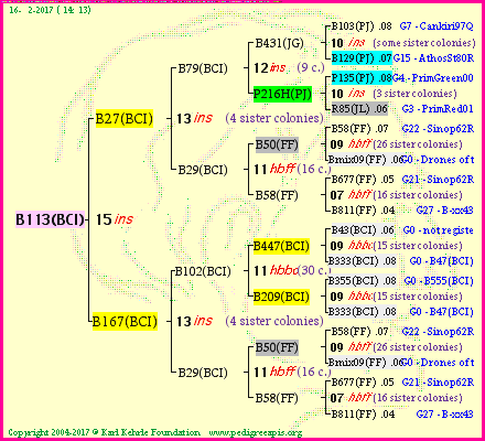 Pedigree of B113(BCI) :
four generations presented