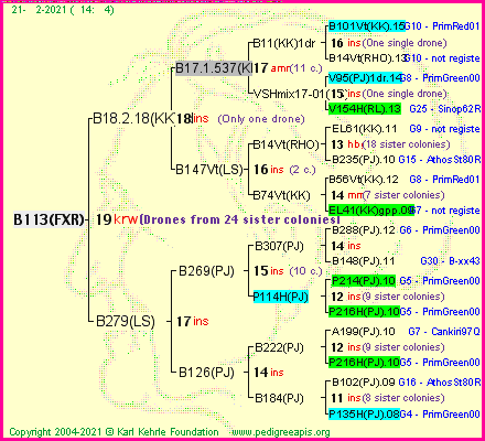 Pedigree of B113(FXR) :
four generations presented
it's temporarily unavailable, sorry!