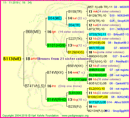 Pedigree of B113(ME) :
four generations presented
it's temporarily unavailable, sorry!