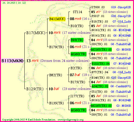 Pedigree of B113(MKN) :
four generations presented