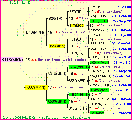 Pedigree of B113(MKN) :
four generations presented
it's temporarily unavailable, sorry!