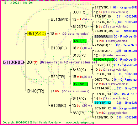 Pedigree of B113(NDE) :
four generations presented
it's temporarily unavailable, sorry!