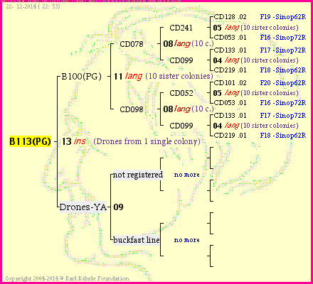 Pedigree of B113(PG) :
four generations presented