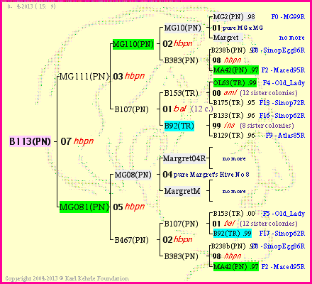 Pedigree of B113(PN) :
four generations presented