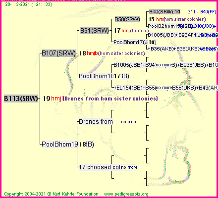 Pedigree of B113(SRW) :
four generations presented
it's temporarily unavailable, sorry!