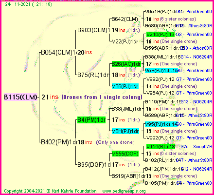 Pedigree of B115(CLM) :
four generations presented
it's temporarily unavailable, sorry!