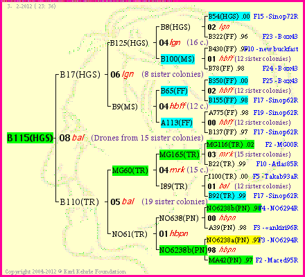 Pedigree of B115(HGS) :
four generations presented
it's temporarily unavailable, sorry!