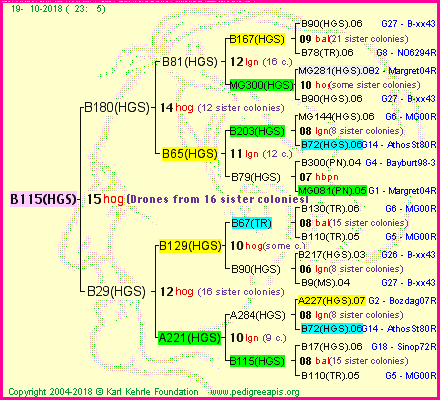 Pedigree of B115(HGS) :
four generations presented<br />it's temporarily unavailable, sorry!