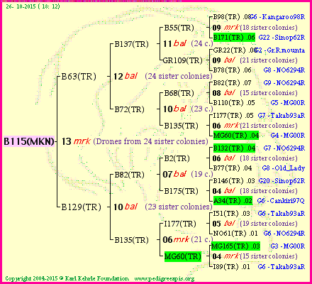 Pedigree of B115(MKN) :
four generations presented