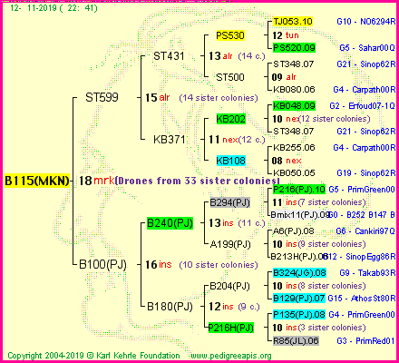 Pedigree of B115(MKN) :
four generations presented<br />it's temporarily unavailable, sorry!