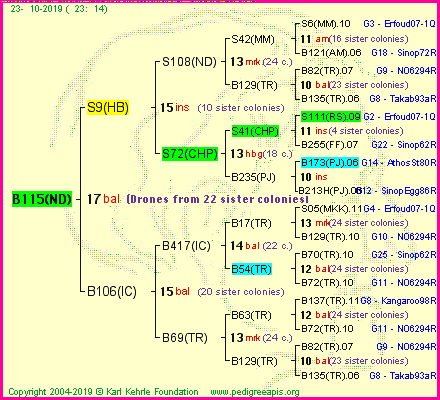 Pedigree of B115(ND) :
four generations presented
it's temporarily unavailable, sorry!