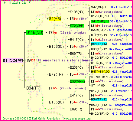 Pedigree of B115(SFW) :
four generations presented
it's temporarily unavailable, sorry!