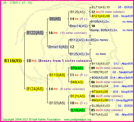 Pedigree of B116(AS) :
four generations presented
it's temporarily unavailable, sorry!