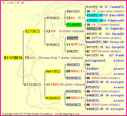 Pedigree of B117(BCI) :
four generations presented