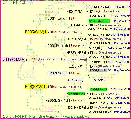 Pedigree of B117(CLM) :
four generations presented
it's temporarily unavailable, sorry!