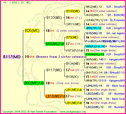 Pedigree of B117(ME) :
four generations presented
it's temporarily unavailable, sorry!