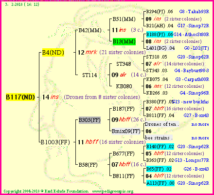 Pedigree of B117(ND) :
four generations presented<br />it's temporarily unavailable, sorry!