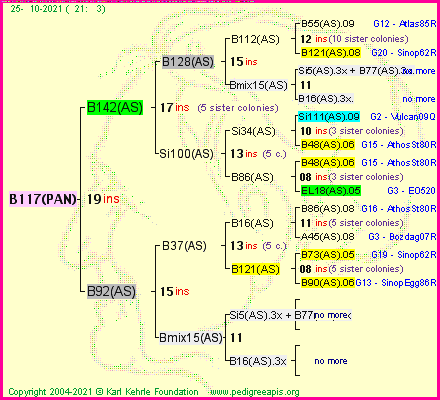 Pedigree of B117(PAN) :
four generations presented
it's temporarily unavailable, sorry!