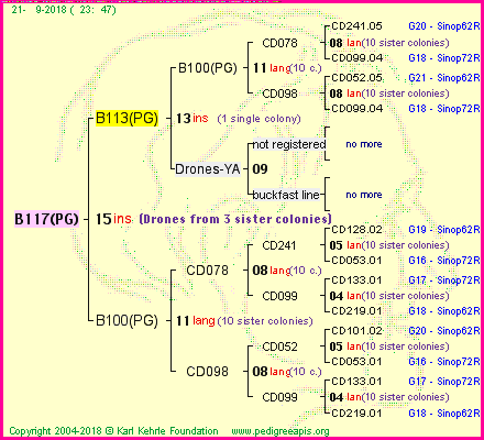 Pedigree of B117(PG) :
four generations presented<br />it's temporarily unavailable, sorry!