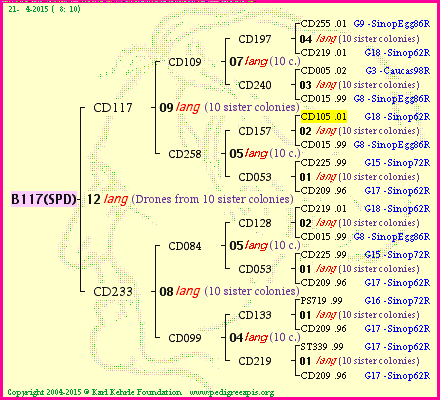 Pedigree of B117(SPD) :
four generations presented<br />it's temporarily unavailable, sorry!