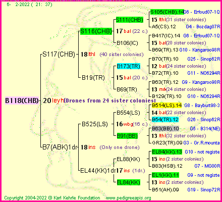 Pedigree of B118(CHB) :
four generations presented
it's temporarily unavailable, sorry!