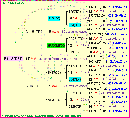 Pedigree of B118(DSJ) :
four generations presented
it's temporarily unavailable, sorry!