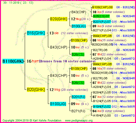 Pedigree of B118(GHK) :
four generations presented
it's temporarily unavailable, sorry!