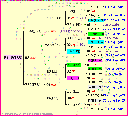 Pedigree of B118(JBB) :
four generations presented