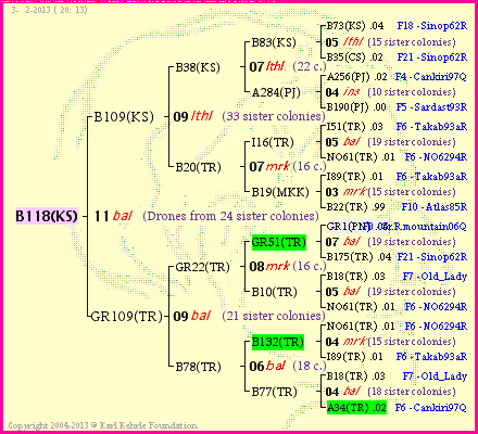 Pedigree of B118(KS) :
four generations presented