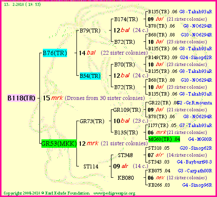 Pedigree of B118(TR) :
four generations presented