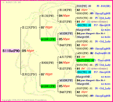 Pedigree of B118a(PN) :
four generations presented