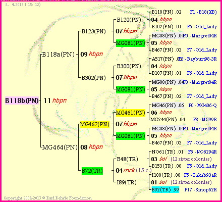 Pedigree of B118b(PN) :
four generations presented