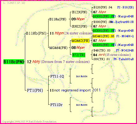 Pedigree of B118c(PN) :
four generations presented