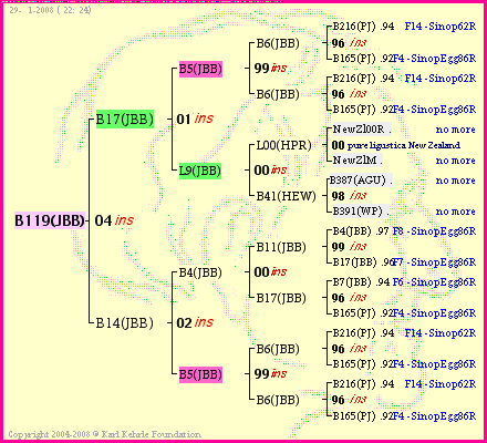 Pedigree of B119(JBB) :
four generations presented