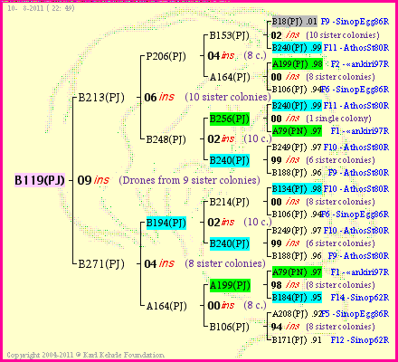 Pedigree of B119(PJ) :
four generations presented