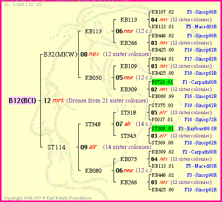 Pedigree of B12(BCI) :
four generations presented