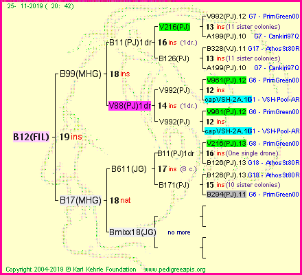 Pedigree of B12(FIL) :
four generations presented<br />it's temporarily unavailable, sorry!