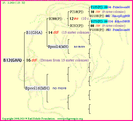 Pedigree of B12(GHA) :
four generations presented<br />it's temporarily unavailable, sorry!