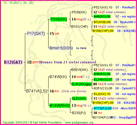 Pedigree of B12(GKT) :
four generations presented
it's temporarily unavailable, sorry!