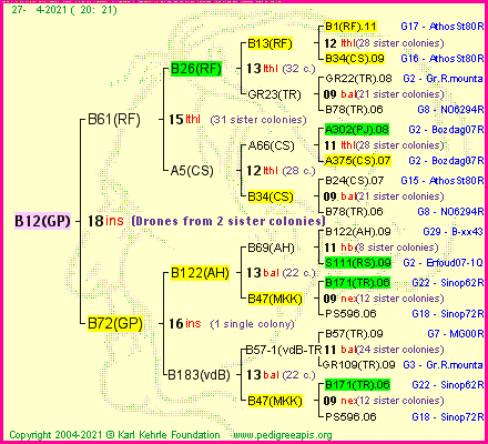 Pedigree of B12(GP) :
four generations presented
it's temporarily unavailable, sorry!