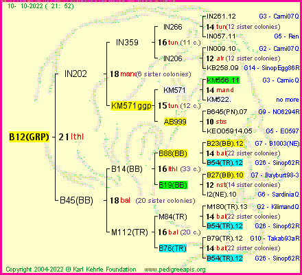 Pedigree of B12(GRP) :
four generations presented
it's temporarily unavailable, sorry!