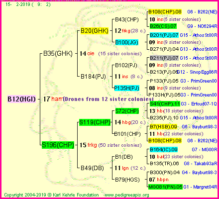 Pedigree of B12(HGI) :
four generations presented<br />it's temporarily unavailable, sorry!