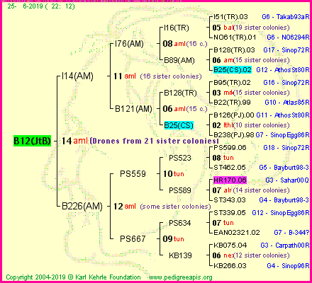 Pedigree of B12(JtB) :
four generations presented<br />it's temporarily unavailable, sorry!