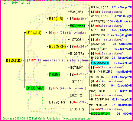 Pedigree of B12(JtB) :
four generations presented<br />it's temporarily unavailable, sorry!