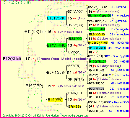 Pedigree of B12(KLM) :
four generations presented<br />it's temporarily unavailable, sorry!